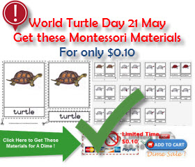 Montessori World Turtle Day 21 May