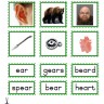 Montessori Language Materials Green Consonant "ear", Age 3 to 6