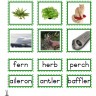 Montessori Language Materials Green Consonant "er", Age 3 to 6.pdf