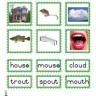 Montessori Language Materials Green Consonant "ou", Age 3 to 6.pdf