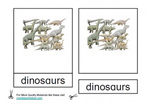 Montessori Dinosaur Materials