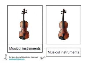 Montessori Musical Instruments Age 6 to 9 Materials