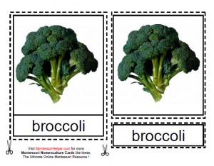Montessori Types of Vegetables Materials