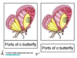 PartsButterfly