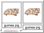 Montessori Materials – Guinea Pig Nomenclature Cards Age 3 to 6