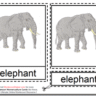 Montessori Materials – Elephant Nomenclature Cards Age 3 to 6