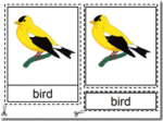 Montessori Materials, Parts of a Bird Nomenclature Cards, Age 3 to 6