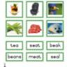 Montessori Language Materials Green Consonant "ea", Age 3 to 6.pdf