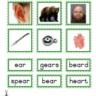 Montessori Language Materials Green Consonant "ear", Age 3 to 6