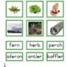 Montessori Language Materials Green Consonant "er", Age 3 to 6.pdf
