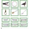 Montessori Language Materials Green Consonant "oo", Age 3 to 6.pdf