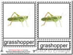Montessori Grasshopper Nomenclatures Age 3 to 6