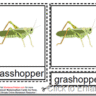 Montessori Grasshopper Nomenclatures Age 3 to 6