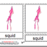 Montessori Downloadable PDF, Parts of the Squid, Age 3 to 6