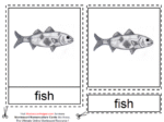 Montessori Materials – Fish Nomenclature Cards Age 6 to 9
