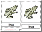 Montessori Materials – Frog Nomenclature Cards Age 3 to 6