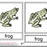 Montessori Materials – Frog Nomenclature Cards Age 3 to 6