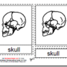 Montessori PDF Materials, Parts of the Human Skull, Age 3 to 6