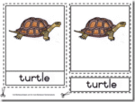 Montessori Materials – Turtle Nomenclatures Age 3 to 6