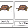 Montessori Materials – Turtle Nomenclatures Age 3 to 6