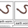 Montessori Materials – Earthworm Nomenclature Cards Age 6 to 9