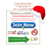 <div align="center">Enjoy this Special 60% Christmas Offer !</div>