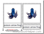 Montessori Materials, Types of Frogs Nomenclature Cards, Age 3 to 6