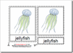 Montessori PDF Materials, Parts of the Jellyfish, Age 3 to 6