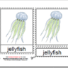 Montessori PDF Materials, Parts of the Jellyfish, Age 3 to 6
