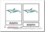 Montessori PDF Materials, Parts of the Dolphin Cards, Age 3 to 6