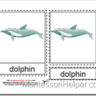 Montessori PDF Materials, Parts of the Dolphin Cards, Age 3 to 6