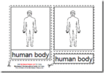 Montessori PDF Materials, The Parts of the Human Body, Age 3 to 6