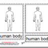 Montessori PDF Materials, The Parts of the Human Body, Age 3 to 6