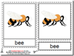Montessori Bee Materials, Age 3 to 6