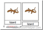Montessori PDF Materials, Parts of a Lizard, Age 3 to 6