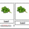 Montessori Herbs Materials, Age 3 to 6