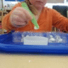 Tweezing Lesson Activity